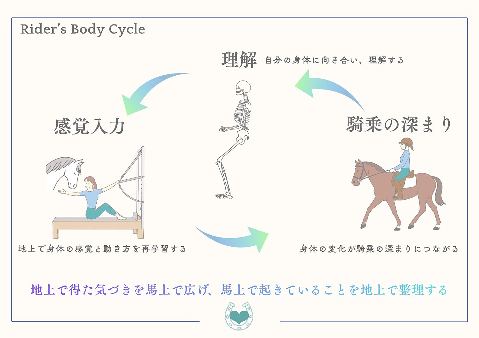Rider’s Body Cycleの図。自分の身体に向き合い理解する、地上で身体の感覚と動き方を再学習する、身体の変化が騎乗の深まりにつながる、の3つが循環する